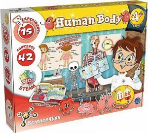 Human Body Science Set 15 Activities For Kids Age 4+ Years Discover Human Body
