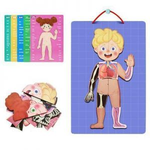 Magnetic Human Body Puzzle Anatomy Play Set Learning Toy Body Puzzles Gift